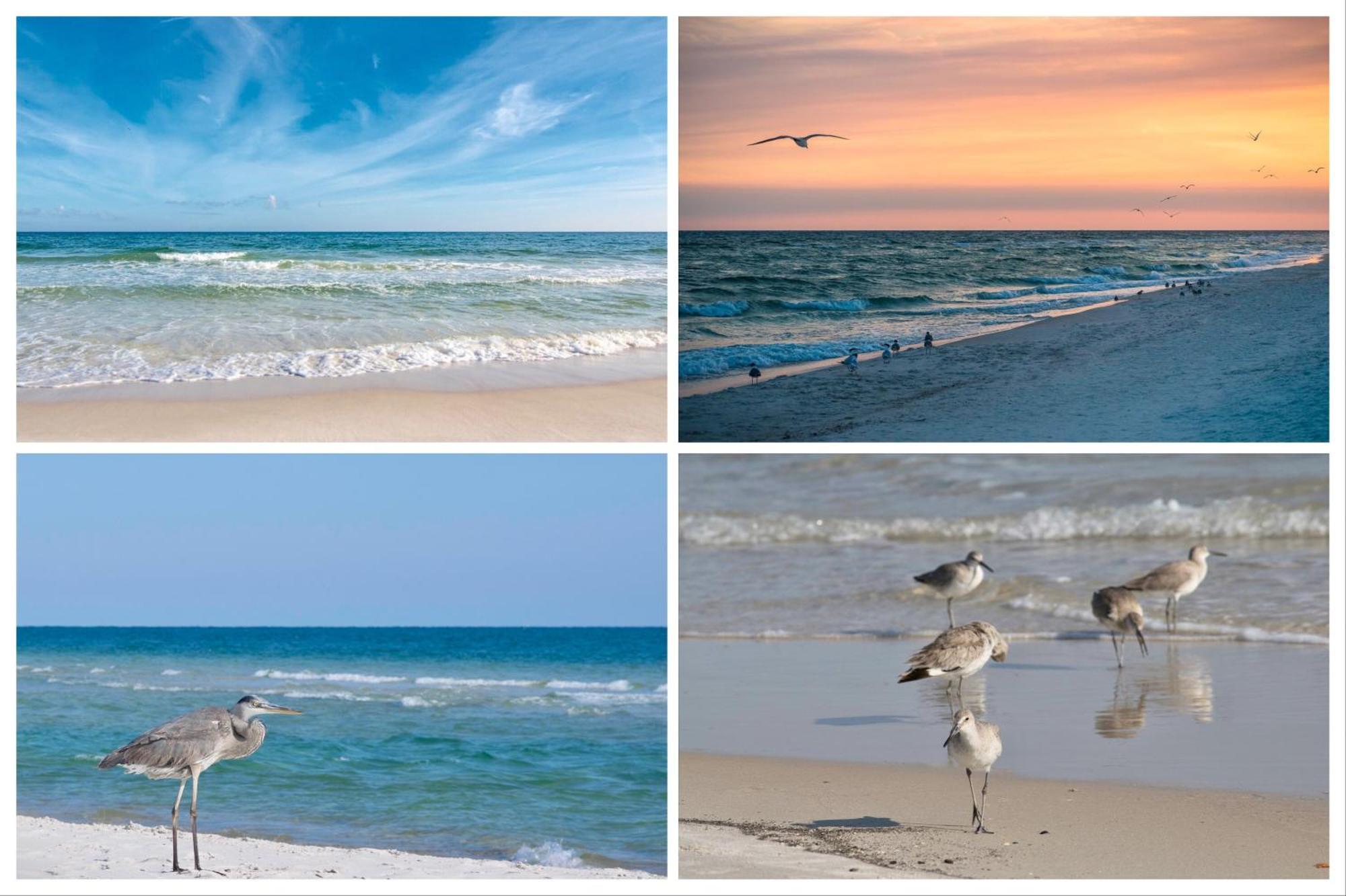 Island Winds East Unit 401 Villa Gulf Shores Rum bild